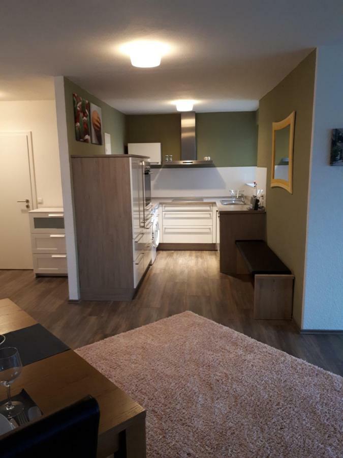 Deluxapartment Kaiserslautern Zewnętrze zdjęcie
