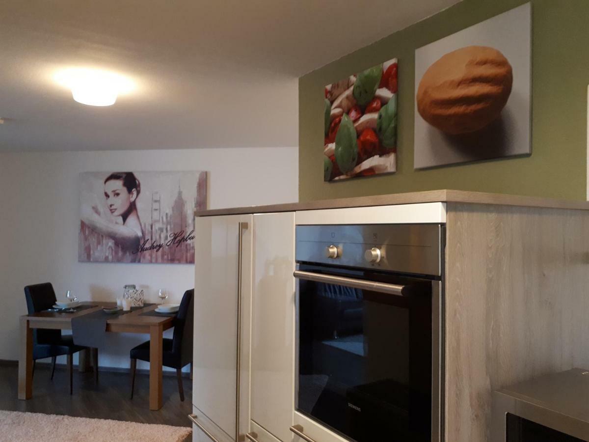 Deluxapartment Kaiserslautern Zewnętrze zdjęcie